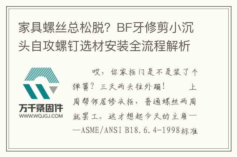 家具螺丝总松脱?BF牙修剪小沉头自攻螺钉选材安装全流程解析