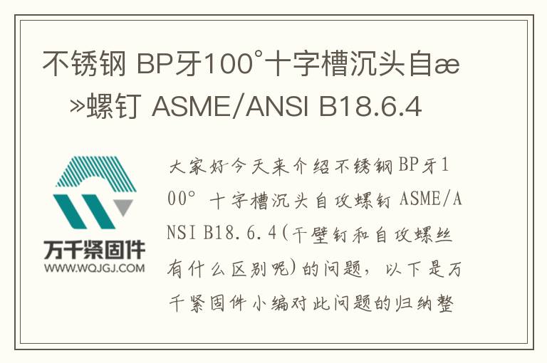 不锈钢 BP牙100°十字槽沉头自攻螺钉 ASME/ANSI B18.6.4
