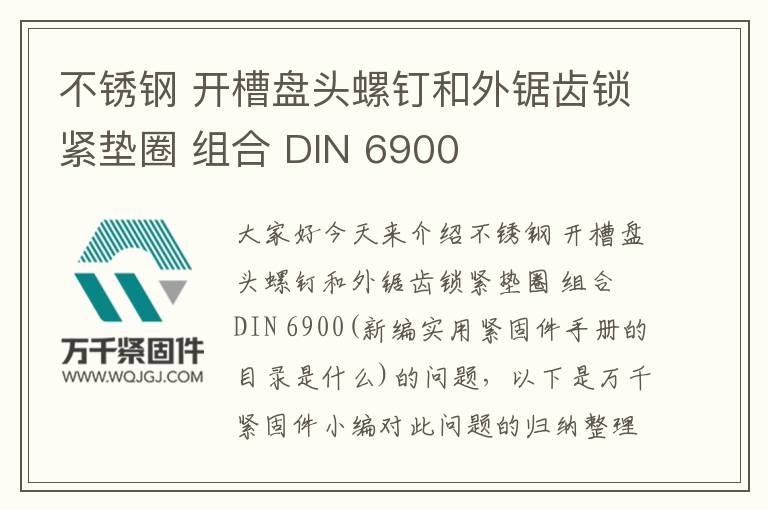 不锈钢 开槽盘头螺钉和外锯齿锁紧垫圈 组合 DIN 6900